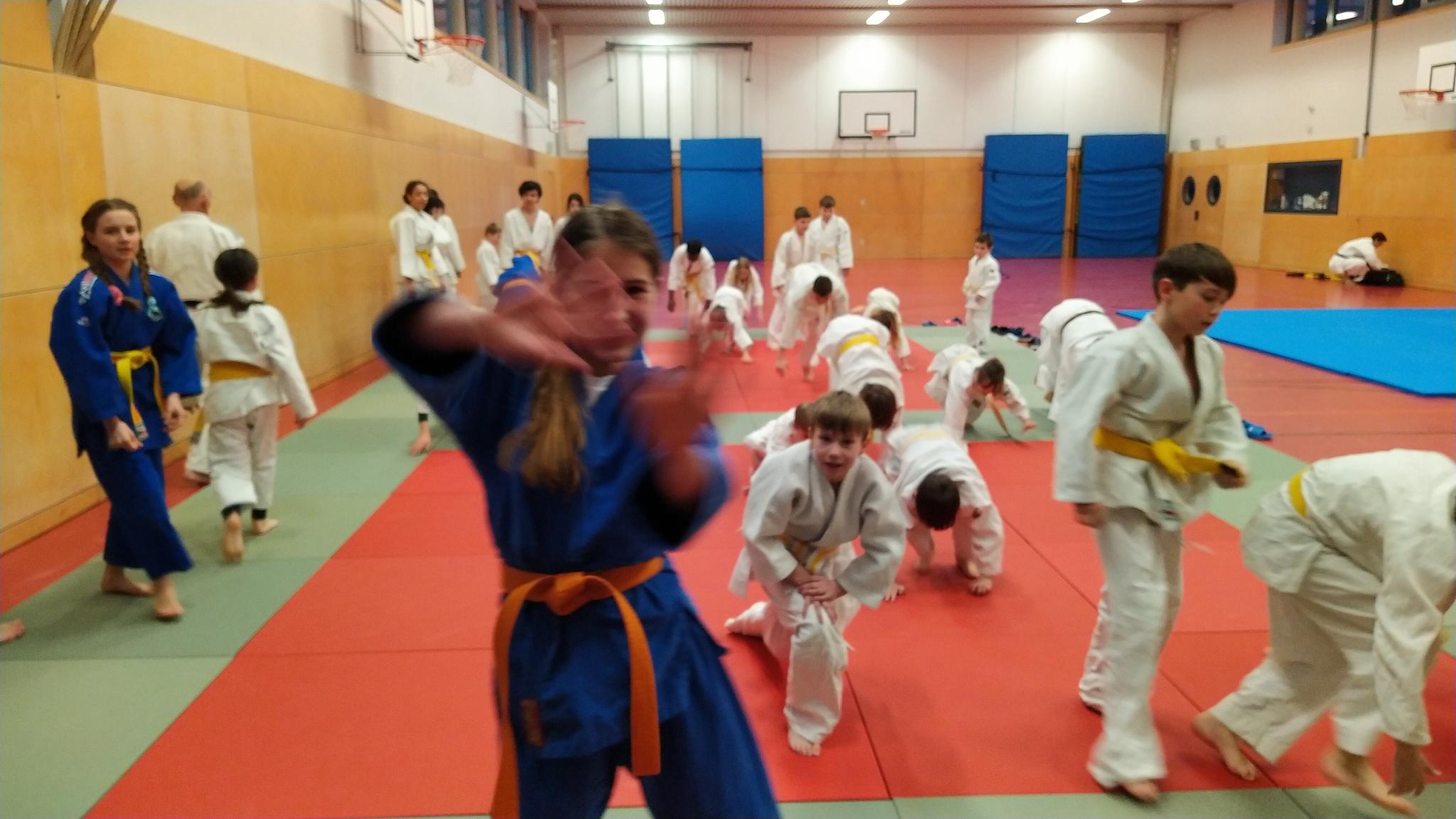 Judo in der Vosshalle